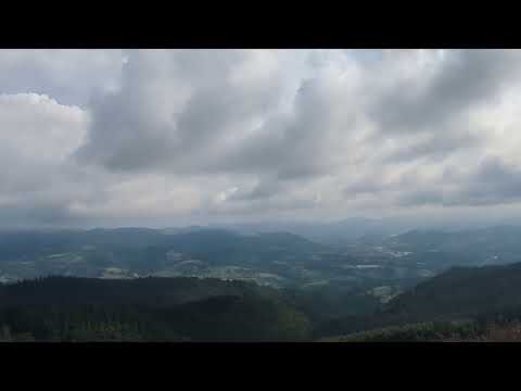 Gernikaldea Arburutik