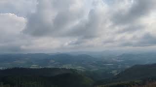 Gernikaldea Arburutik