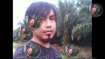 bang  toyip pulang kampung.