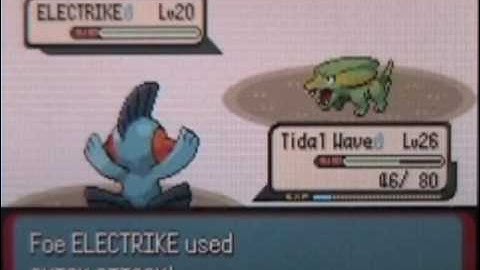 Pokemon Emerald Walkthrough Part 21 Gym Battle
