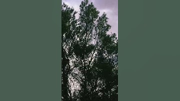 #تلاوة_خاشعة #تلاوة_مؤثرة #إسلام_صبحي الحمدلله حمدا كثيرا