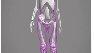 How to Draw - Female Walking, from reference