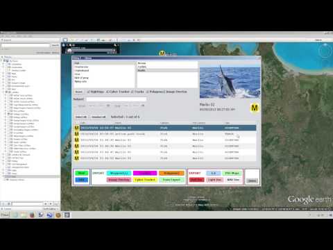 Importing Polygons