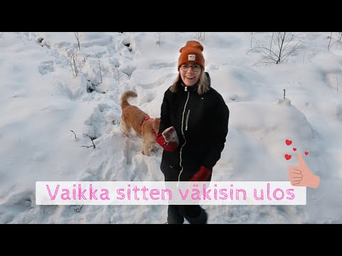 Video: Mistä Voin Ostaa Jääkaapin