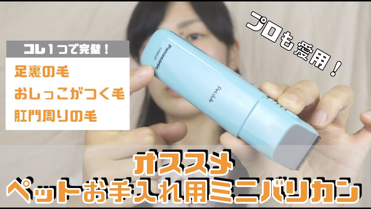 【トリマー推薦】足裏の毛・肛門周りの毛・おしっこがつく毛 ...