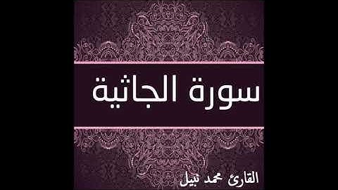 سورة الجاثية للقارئ محمد نبيل