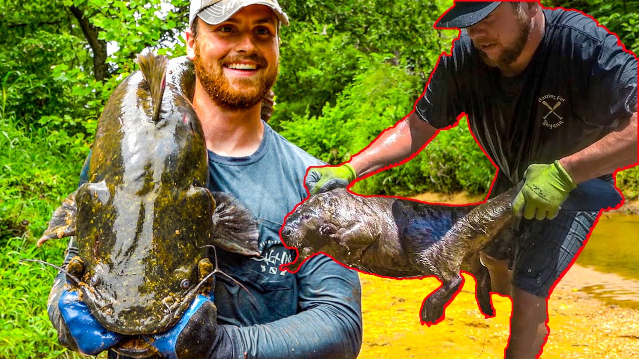 BEAVER CAUGHT BAREHANDED?! Catfish Noodling YouTube