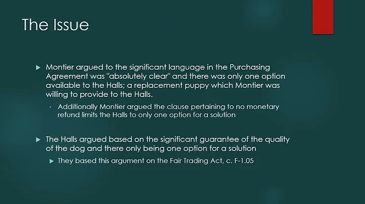 Legal Brief - International Case