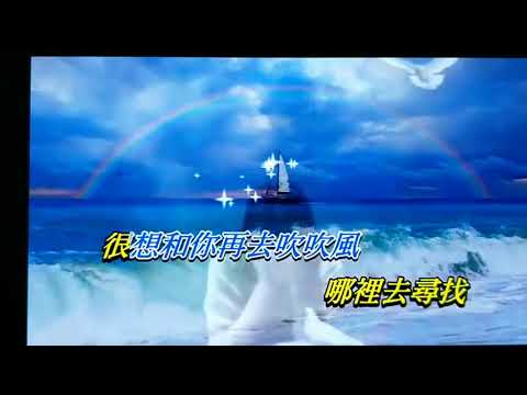 M.C.Tsai-想和你去吹吹風