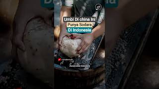 Konjac Tanaman Umbi Mirip Porang