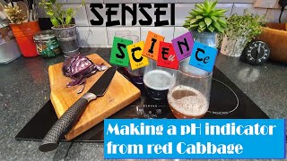 Chemistry @Home - Making a pH indicator from Red Cabbage