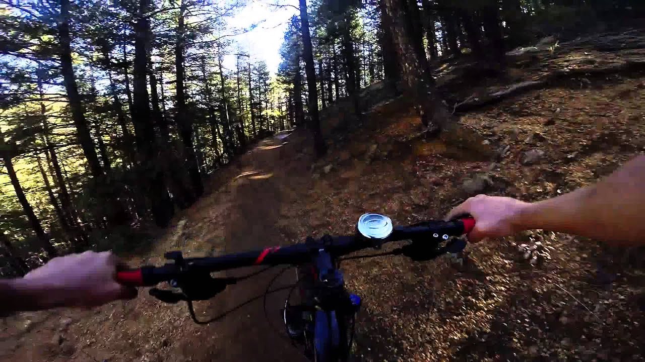 Colorado Springs Short Sale information - free consultation. RE/MAX Properties