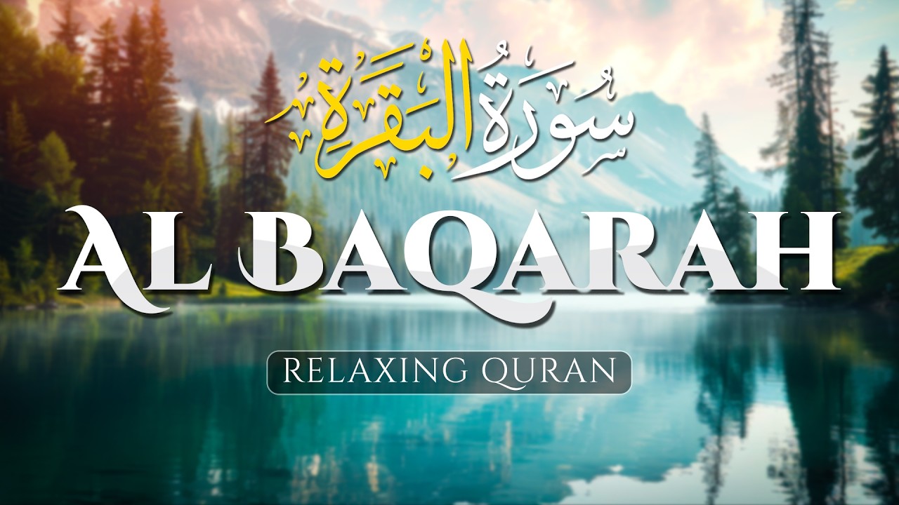 This will Calm and Touch your Heart إن شاء الله, Surah Al Baqarah (سورة البقره)  - AHMAD AL SHALABI