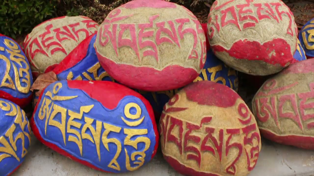 December Vibes at Palampur