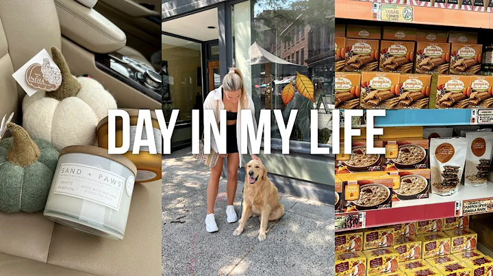 FALL VLOG: trader joes haul, homegoods decor, pump...