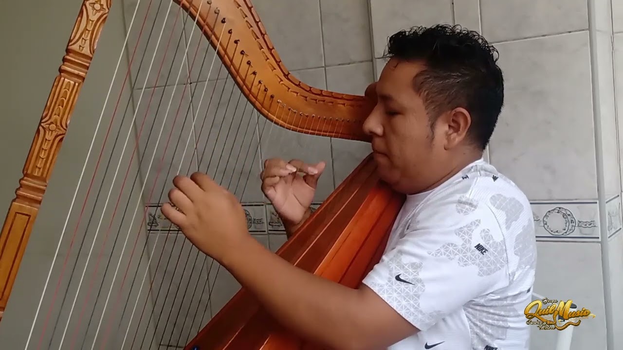 EL TREN QUE NOS SEPARA - BALADA - Arpa - Quilder Rodriguez