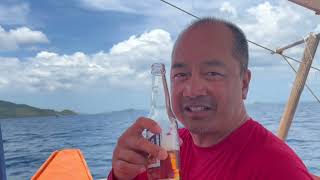 Coron:  Reef and shipwreck, Lusong Gunboat, Lusong Coral Garden, Pass Island