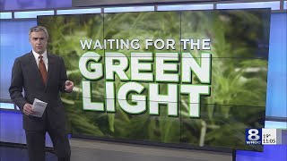 Homegrown? New York's recreational marijuana debate includes growing at home - February 8, 2021