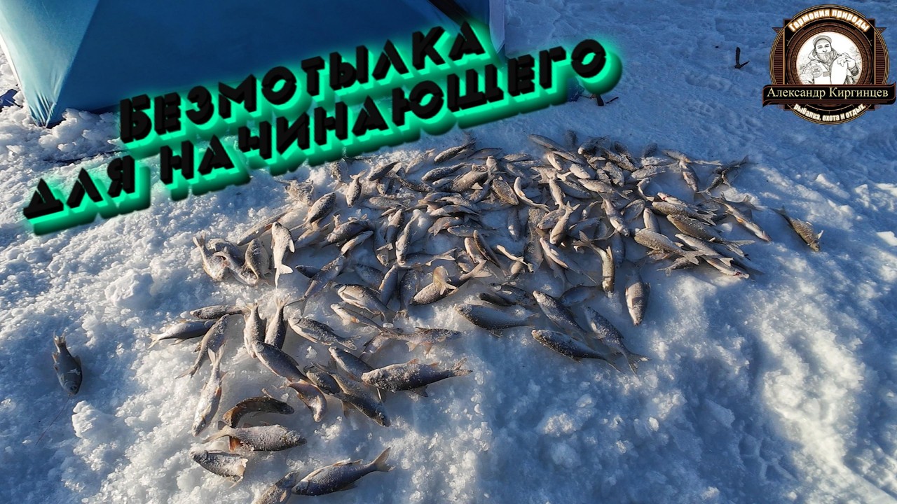 Безмотылка для начинающего  Ловля плотвы