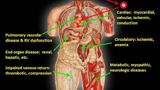 Interpretation of Cardiopulmonary Exercise Tests: Part 2