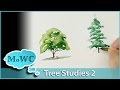 How to Paint Tree Studies in Watercolor – Detailed Shapes