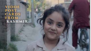 Spring Evening in Rural Kashmir | Video Postcard screenshot 5