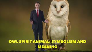OWL SPIRIT ANIMAL  SYMBOLISM AND MEANING
