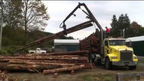 Unloading logs