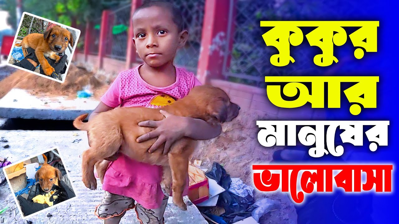 কুকুর আর সেই বাচ্চার কাছে আবার গেলাম❤ | Motivational Video | Love Story | Animal Lover | Dog Lover