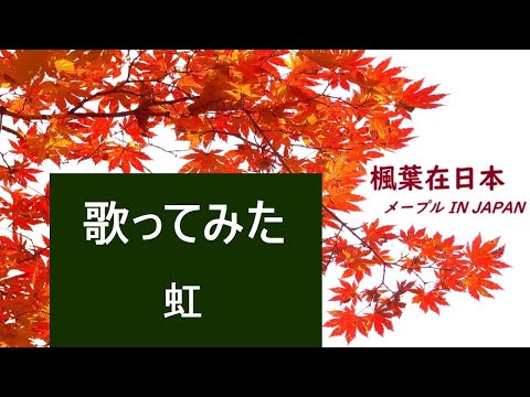 【楓葉歡唱】 虹 - 菅田将暉【cover/key(+4)/歌詞付き/歌ってみた】