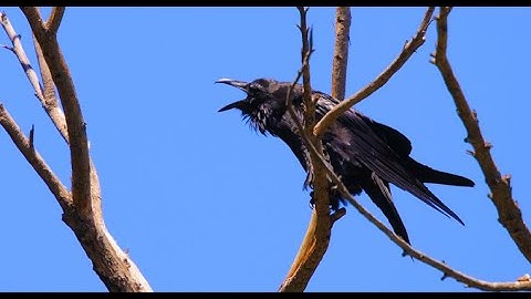 Best of the week May 4th, 2025