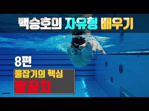<strong>SHC</strong> 수영_[8편]_자유형물잡기_백승호의 자유형 배우기