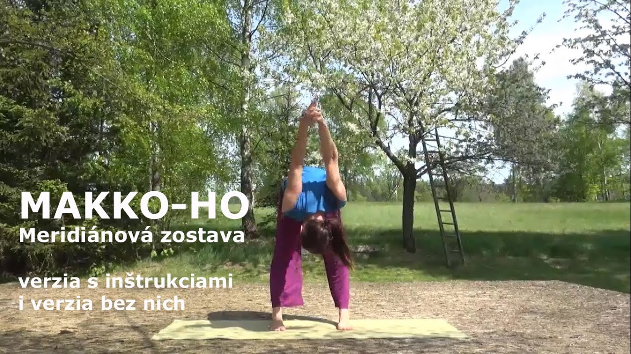 MAKKO-HO_zostava pre kvalitný tok čchi v meridiánoch.