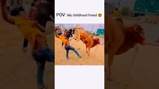😱😲 THE BAFFALO KICK OFF BOY #entertainment #funny #comedy #fyp