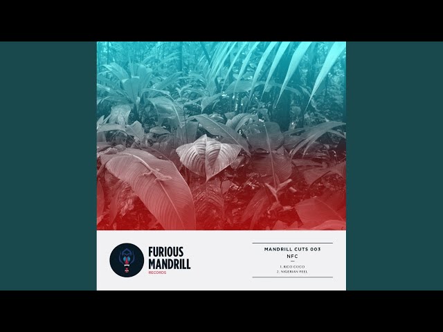 Nigerian Feel (Original Mix)