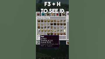 How to Put Images Into Minecraft!
