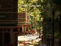 Golden Study Light - Spring Cafe Music ☕ 봄 카페 음악 힐링 플레이리스트