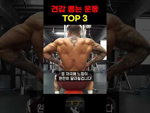 견갑 뽑는 <strong>운동</strong> <strong>TOP</strong> 3