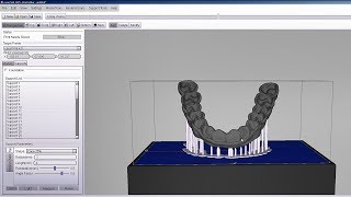 How to work with cara Print CAM software (EN) screenshot 4