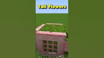 NEW 1.20 BUILD HACK! | Minecraft Build Hacks ⛏ 😄 #shorts