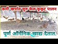 शेड वर खर्च न करता गावठी कुकुट पालन मधून लाखो रुपये मिळवत आहे || PURE GAVRAN FARM