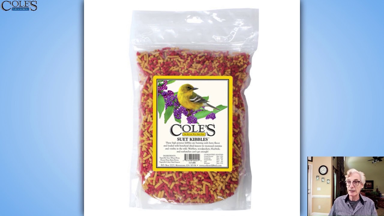 Nutritious Foods For Baby Birds YouTube