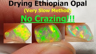 Ethiopian Opal Drying. The Slow And Careful Way... Successful! Amazing Welo Opal After Drying!!!