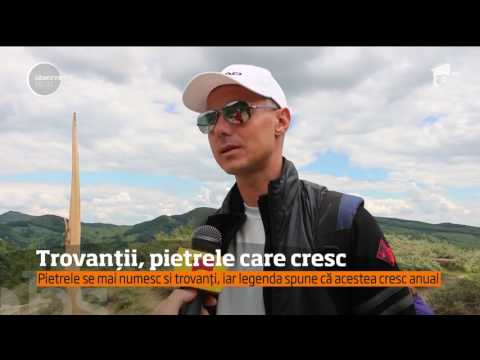 Video: Trowants - Pietre Vii Care Cresc și Se înmulțesc - Vedere Alternativă