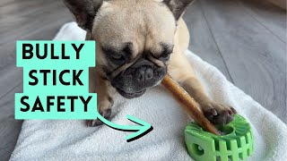 Is Your Dog Eating Bully Sticks Too Fast? Do This