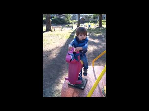 გუგა და ბარბარე ჩიტაიები