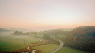 a playlist for slow walks through the garden path with soft melodies