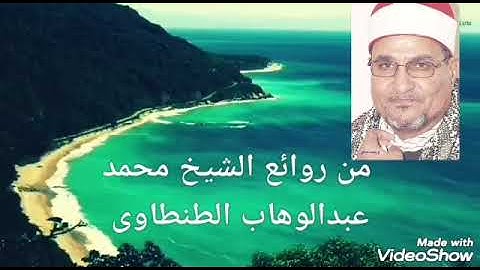 تسجيل نادر من سوره الأنبياء للشيخ محمد عبدالوهاب الطنطاوى رحمه الله