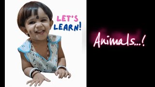 Animal Adventures with Shruta: Exploring the Wonders of the Animal Kingdom! #animals #animation