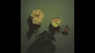 Blu &amp; Exile - Give Me My Flowers While I Can Smell Them